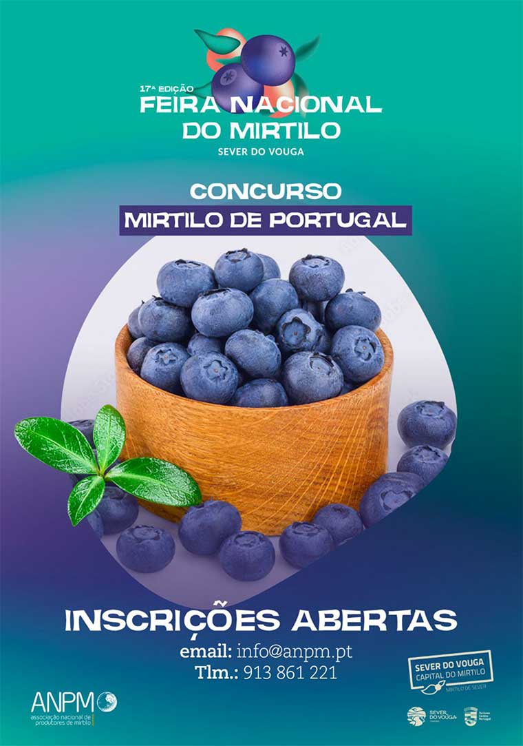 Mirtilo