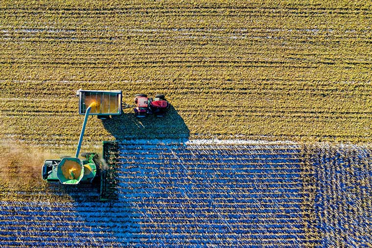 Agricultura