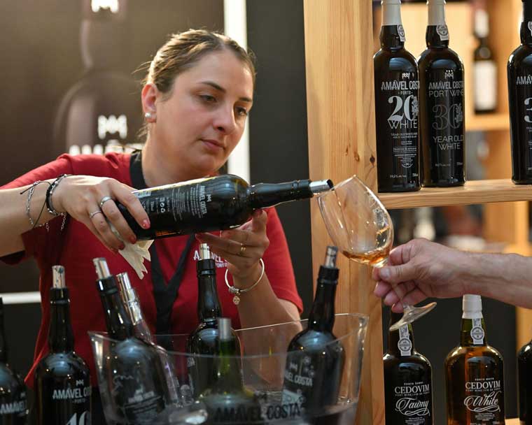 Vinhos Côa
