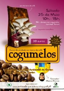 cogumentos_borra_cafe