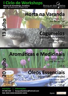 workshop_bosquedasideias