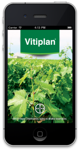 Vitiplan (3)