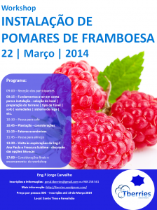 Cartaz_framboesa