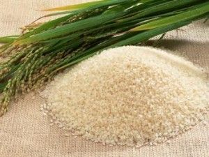 Arroz_carolino