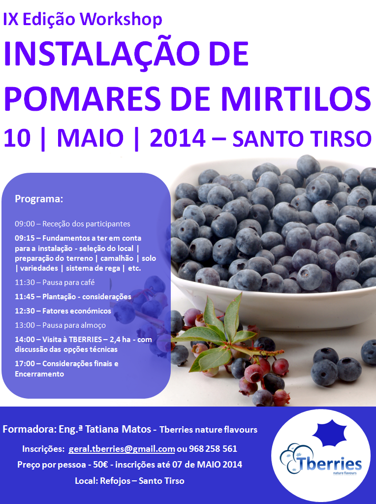 cartaz_IX_edicao_mirtilos