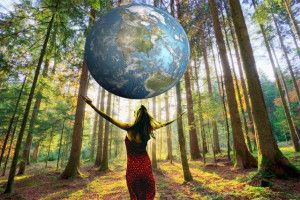 fundo-nacional-do-meio-ambiente-financiamento-de-projetos-ambientais-4
