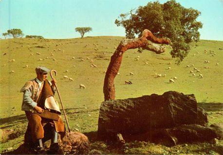 001_Alentejo