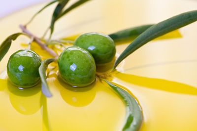 fresh_pressed_olive_oil
