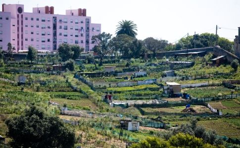 hortasurbanas