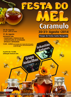 Cartazes emendados 2014