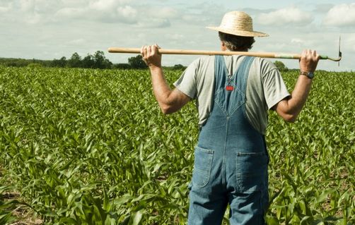 farmer-19050