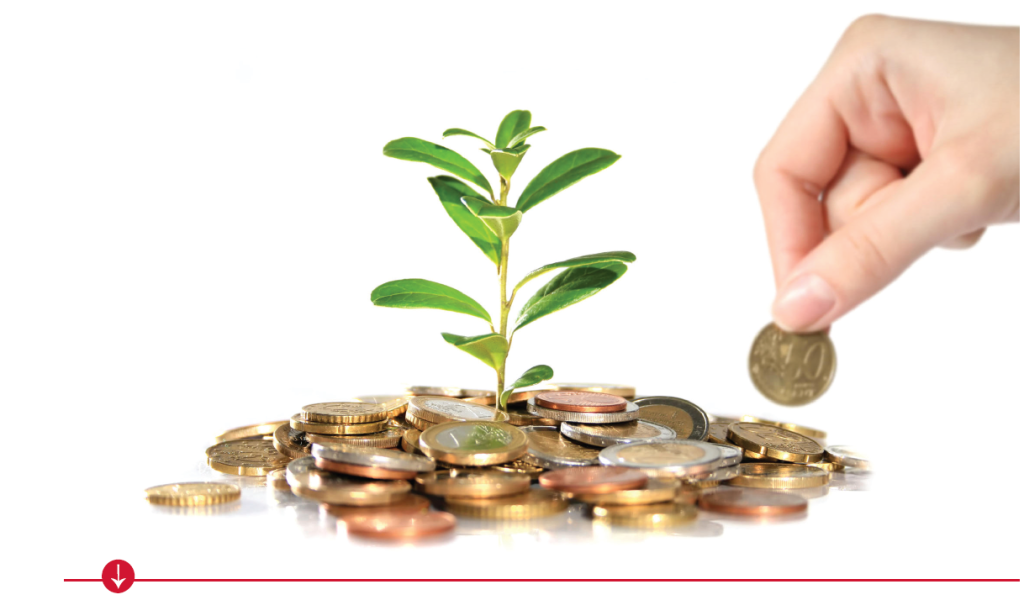 financiamento-projetos-agricolas