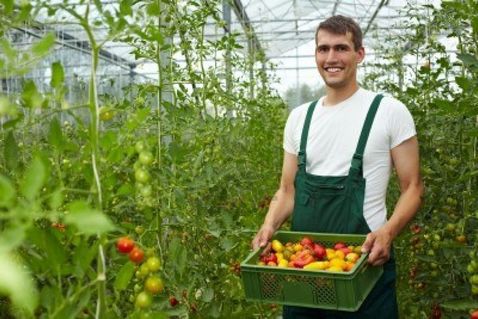 pequeno-agricultor